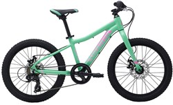 Marin Hidden Canyon 20w 2019 - Kids Bike