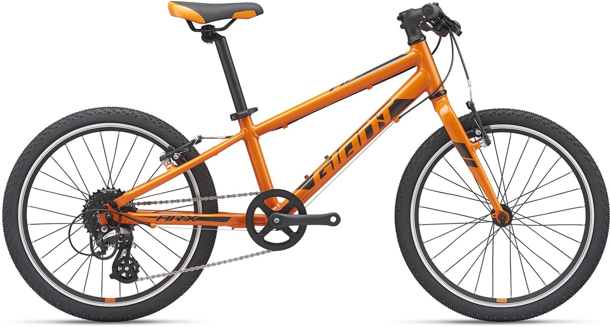 Giant ARX 20w 2020 - Kids Bike product image