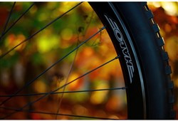 Halo Vortex Wheels 29"