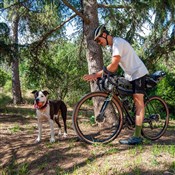 Halo Vapour GXC Wheels 27.5"/29"