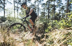 Saracen Zenith Pro 29er Mountain Bike 2019 - Hardtail MTB