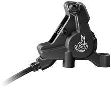 Campagnolo Record 12 Speed Hydraulic Ergos and Calipers