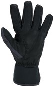 Sealskinz Waterproof All Weather Lightweight Gloves