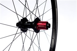 Stans NoTubes Arch CB7 29" Wheel