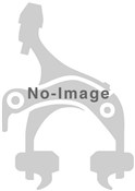 Shimano GRX RX810 Disc Brake Caliper