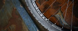 Hope Fortus 26 Pro 4 29" Front Wheel