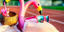 Goodr Flamingos on a Booze Cruise - The OG Sunglasses