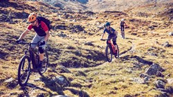 BMC Speedfox AMP Five 29" 2020 - Electric Mountain Bike