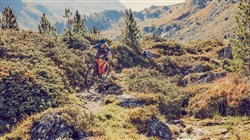 BMC Speedfox AMP Five 29" 2020 - Electric Mountain Bike