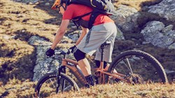 BMC Speedfox AMP Five 29" 2020 - Electric Mountain Bike