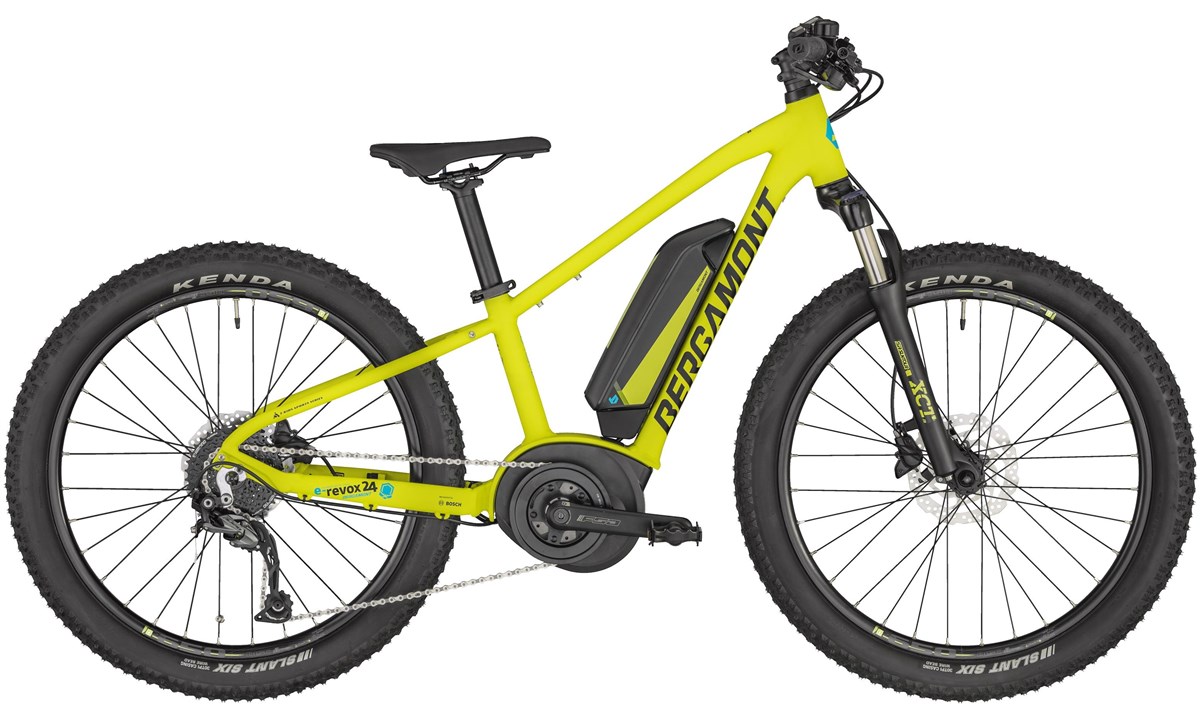 Bergamont E-Revox Junior 24w 2020 - Electric Mountain Bike product image