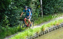 Ridgeback Nemesis 2020 - Hybrid Sports Bike