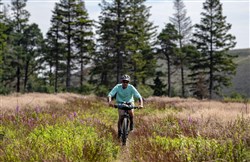 Marin Pine Mountain 2 29" Mountain Bike 2020 - Hardtail MTB