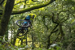 Marin Rift Zone Carbon 2 29" Mountain Bike 2020 - Trail Full Suspension MTB