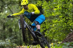 Marin Rift Zone Carbon 2 29" Mountain Bike 2020 - Trail Full Suspension MTB
