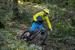 Marin Rift Zone Carbon 2 29" Mountain Bike 2020 - Trail Full Suspension MTB