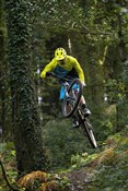 Marin Rift Zone Carbon 2 29" Mountain Bike 2020 - Trail Full Suspension MTB