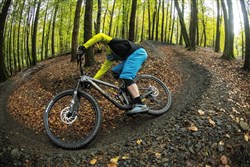 Marin Rift Zone Carbon 2 29" Mountain Bike 2020 - Trail Full Suspension MTB