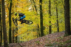Marin Rift Zone Carbon 2 29" Mountain Bike 2020 - Trail Full Suspension MTB