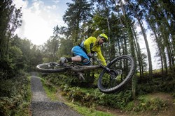 Marin Rift Zone Carbon 2 29" Mountain Bike 2020 - Trail Full Suspension MTB