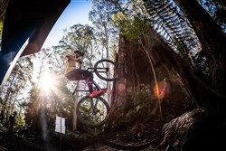 Specialized 2FO Clip 2.0 MTB Shoes