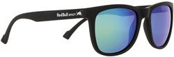 Red Bull Spect Eyewear Lake Sunglasses