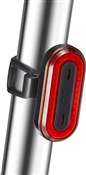 Gemini Juno 100 Rear Light