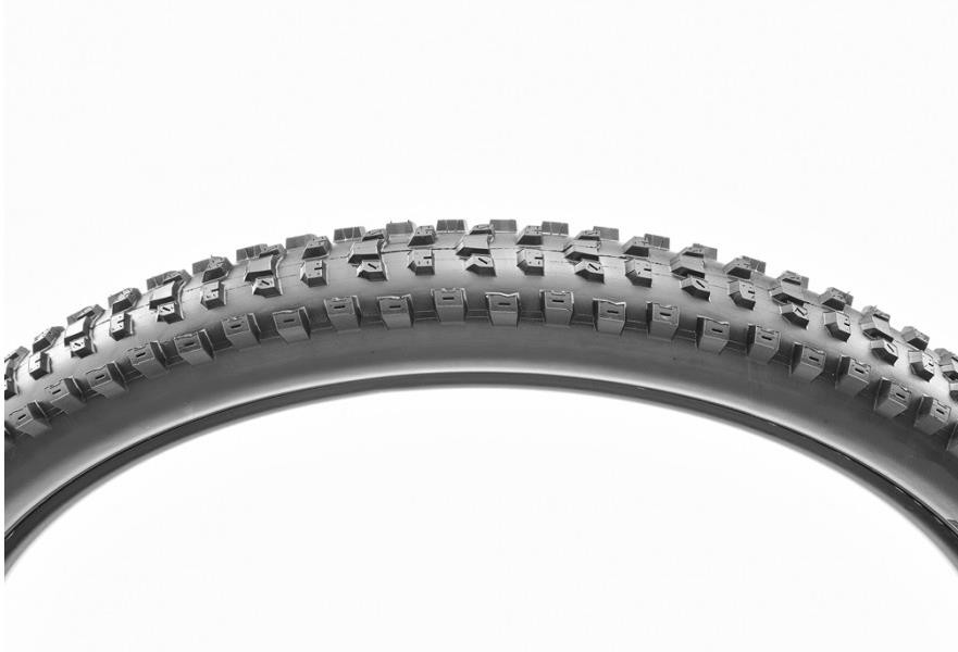 Dissector EXO TR Dual Compound 29" MTB Tyre image 1