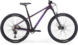 Merida Big Trail 600 29" Mountain Bike 2021 - Hardtail MTB