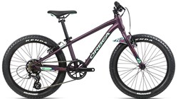Orbea MX 20 Dirt 2021 - Kids Bike