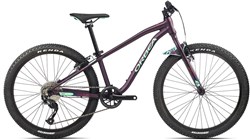 Orbea MX 24 Dirt 2021 - Junior Bike