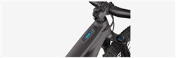 Specialized Levo 29" 2021 - Electric Mountain Bike