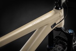 Cube Reaction TM Mountain Bike 2021 - Hardtail MTB