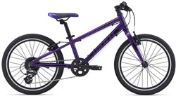 Giant ARX 20 2021 - Kids Bike