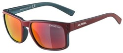 Alpina Kosmic Ceramic Mirror Cycling Glasses