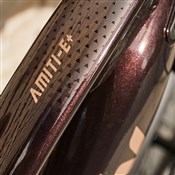 Liv Amiti-E+ 2 2021 - Electric Hybrid Bike