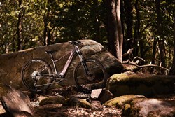 Liv Vall-E+ 2021 - Electric Mountain Bike