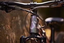 Liv Vall-E+ 2021 - Electric Mountain Bike