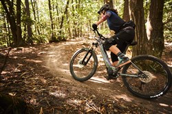 Liv Vall-E+ 2021 - Electric Mountain Bike