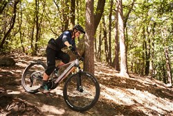 Liv Vall-E+ 2021 - Electric Mountain Bike