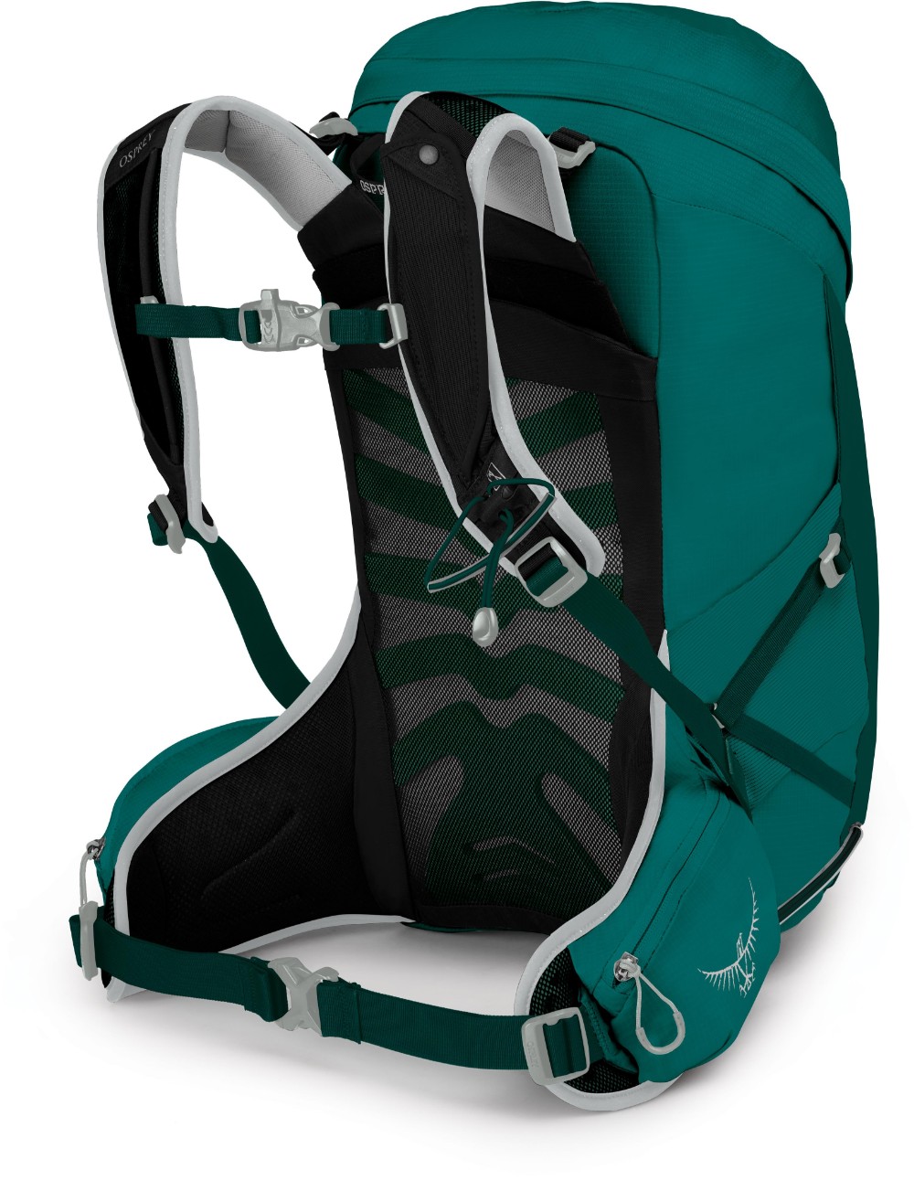 Tempest 24 Womens Backpack image 1