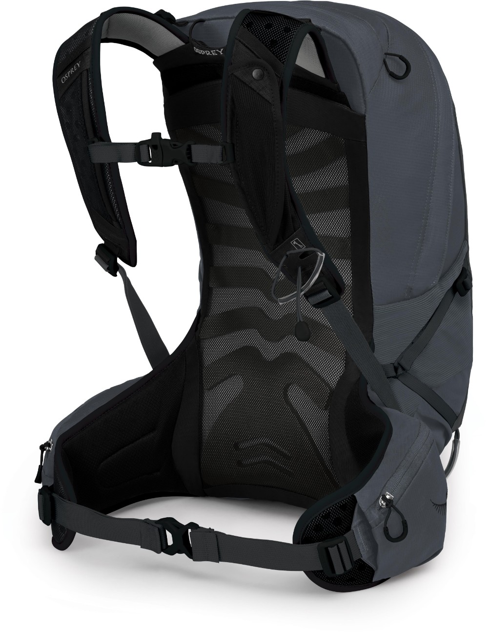 Talon 22 Backpack image 1