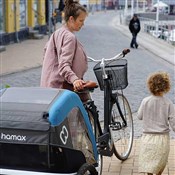 Hamax Avenida One Child Bike Trailer