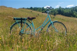 Pendleton Somerby E - Mint 2021 - Electric Hybrid Bike