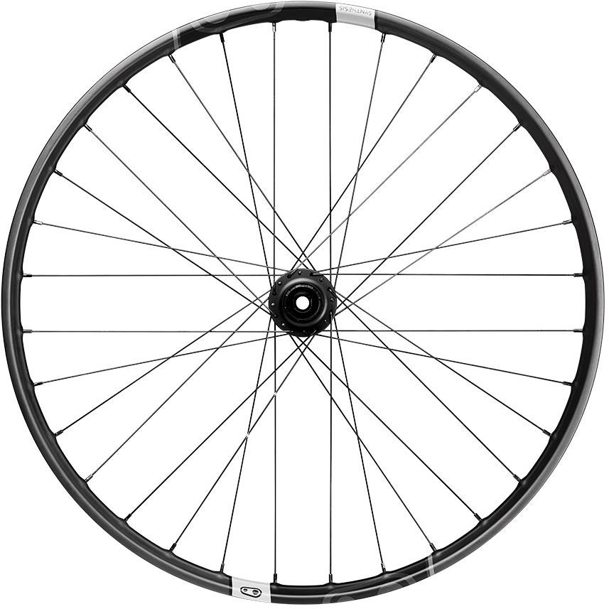 Synthesis E Bike Plus Carbon 29" wheelset image 0
