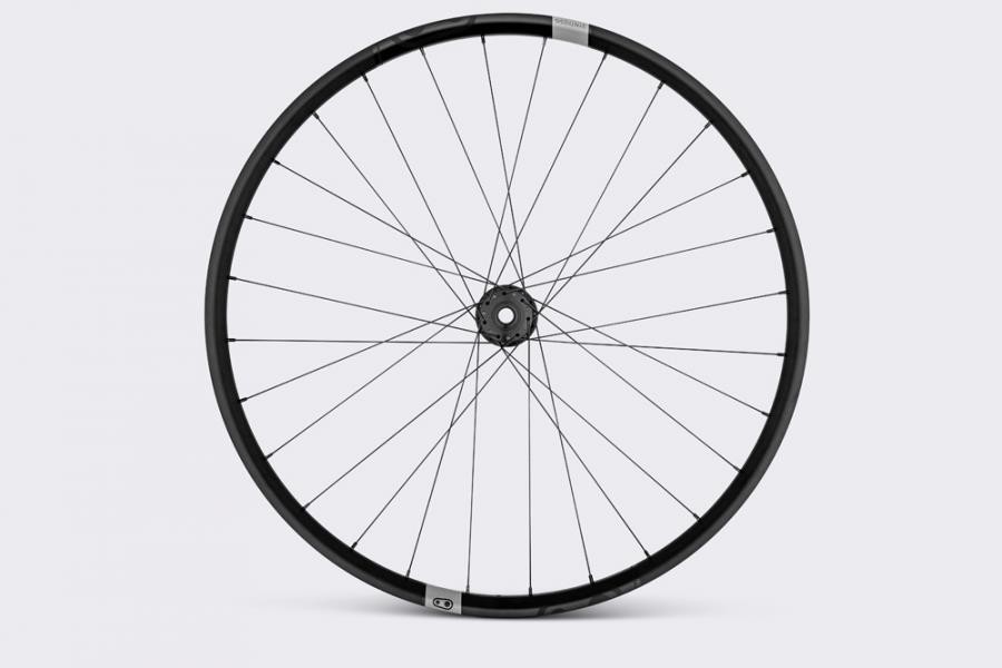 Synthesis Alloy XCT wheel CB hub 29" Front Wheel image 0