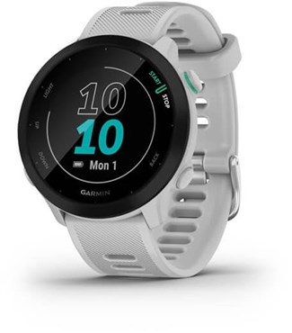 Garmin Forerunner 55 GPS Watch