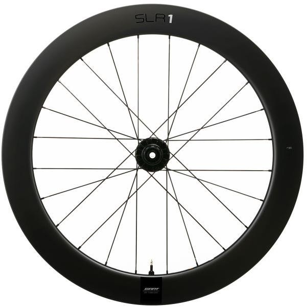 SLR 1 65 Disc Carbon 700c Rear Wheel image 0