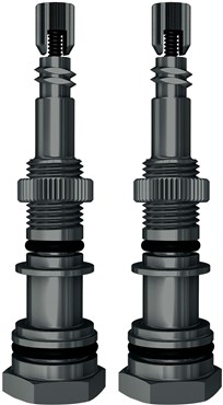 SKS Airspy Replacement Presta Valve