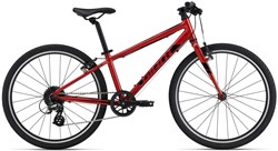 Giant ARX 24 2023 - Junior Bike